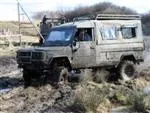 Tarpan Honker 8